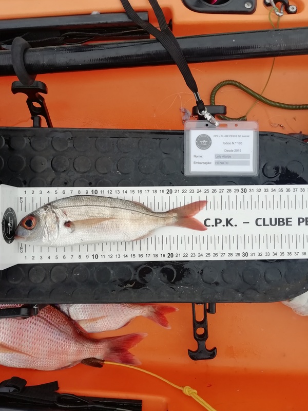 Fish Measure Picture
